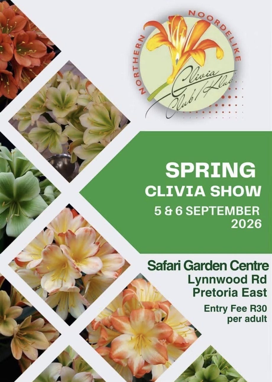 Poster for the Northern Clivia Club Spring Clivia Show, 5 and 6 September 2026, at Safari Garden Centre, Lynnwood Road, Pretoria East. Entry fee R30 per adult.